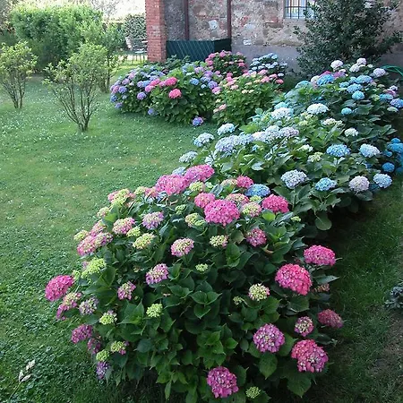 Dell'amorosa Hotel Sinalunga