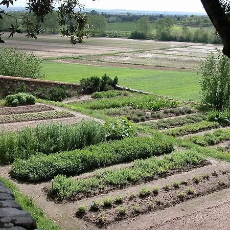 Dell'amorosa 4*