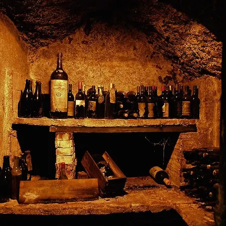 Dell'amorosa